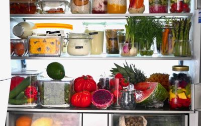 Sub Zero Appliance Maintenance: Mom’s Secret Sauce for Longevity