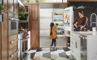 Family Harmony: Mom’s Sub Zero Appliance Repair Mastery