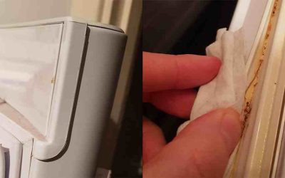 Emergency Fixes for Sub Zero Wine Cooler Door Seal Problems