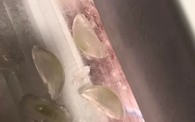 Sub-Zero Ice Maker Not Working Properly? Troubleshooting Solutions